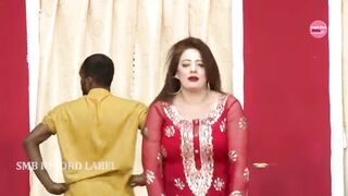 Pakistani Stage Girl Afreen Pari Dance
