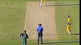 What  a style of batsman