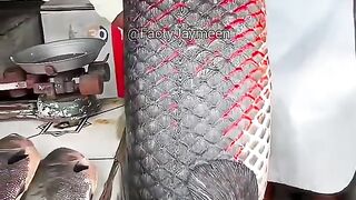 Giant Fish ArapaimaUnbelievable FactsInteresting Factsshorts youtubeshorts fish giant fish