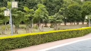 Paper rocket (straw rocket)viral craft trending short youtube youtubeitalia drawing artbyhasim youtubeindia viral craft trending short trend