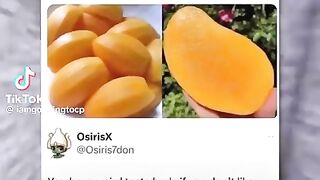 Peak of TikTok Currently! You Wont Believe This!  FunFM