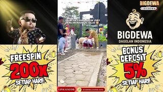 Domba Saja Berpendidikan masa kalian Tidak