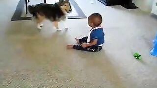 The Cutest Baby and Dog Duo Ever!  FunFM