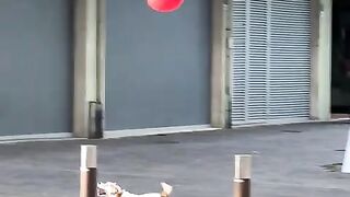 This Pups Keepy Uppy Game is ON POINT!  FunFM