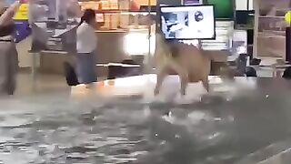 Dawg Having the Time of His Life  FunFM