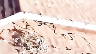 Just Wanted a Better View to Watch for You!  FunFM