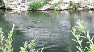 You Wont Believe What We Saw Hiking  River Otters!  FunFM