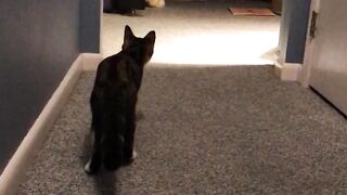 What Was That ?  FunFM