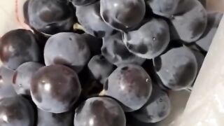 Animation Video 2