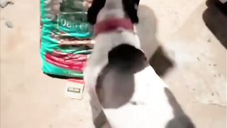 He Really Loves His Food!  FunFM