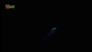 Ikan Oarfish Pertanda Alam