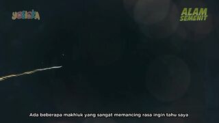 Ikan Unicorn Bertanduk