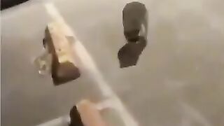 Bros Friends Dare Him to Touch a Human!  FunFM
