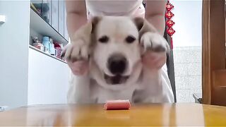 The Look on His Face is PRICELESS!  FunFM