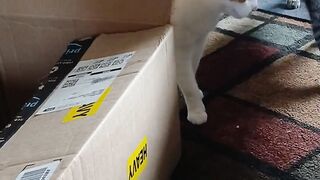 You Wont Believe This Box Scare!  FunFM