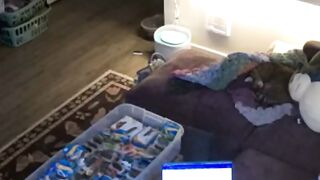 Nightmare Startle Caught on Camera!  FunFM