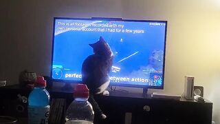 Scary Wii Bar Startles This Cat!  FunFM