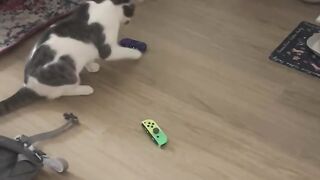 Hilarious Controller Hunt!  FunFM