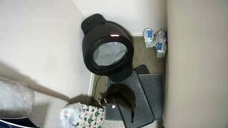 Litter Robot Cycles Hilarious Reactions!  FunFM