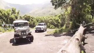 Thriller Movie Clip