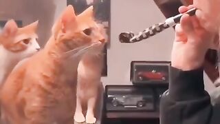 What Is This THI-AHHHHHHH Moment?  FunFM