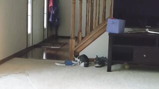 Sneaky Brother Caught in the Act!  FunFM