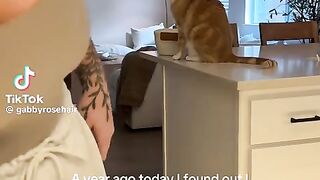 Dont Touch Me! This Cats Reaction is Priceless!  FunFM