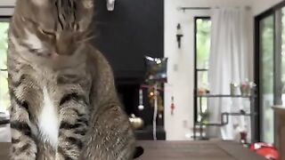Eating Anything and Everything!  FunFM
