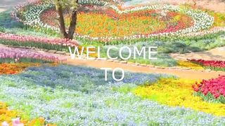Nature s Symphony - Exploring the Untouched Beauty of Japan s Natural Landscape 2