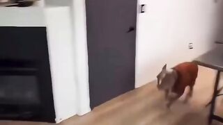 Bro Was Running LATE For Nap Time!  FunFM