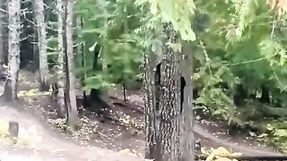 This Bears Reaction Is Priceless! Ahh Bear  FunFM