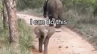I Am a Baby First and Then an Elephant. OK!!!  FunFM