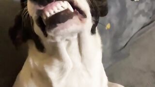 The Funniest Angry Handshake Ever!  FunFM