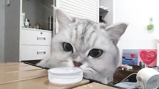 Cute or Not? Watch and Decide!  FunFM