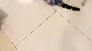 Can You CATCH It?  FunFM