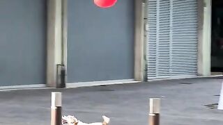 Happy Dog  Happy World!  FunFM