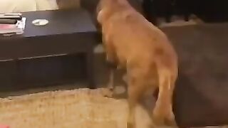 The Funniest Sibling Moment Ever!  FunFM
