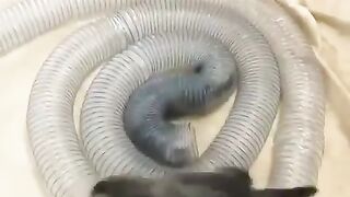 Theyre Having WAY Too Much Fun!  FunFM