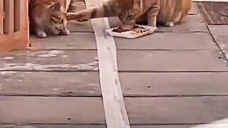 Thats a BAD Friend Right There!  FunFM