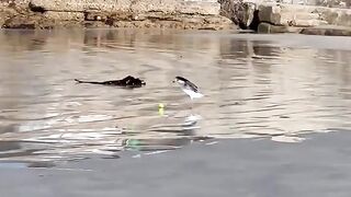 The Chase You Never Saw Coming!  FunFM