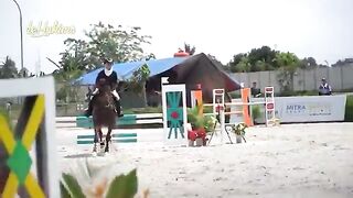 SYOOKKK.!! KUDA RAKSASA DARI JERMAN UNTUK AISHA.! INI GEDE BANGEEETTTT