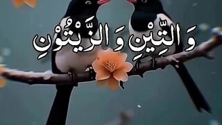 MashaAllah super