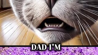 Dog video 7