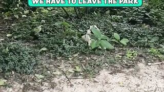When Its Time to Leave the Park.  FunFM