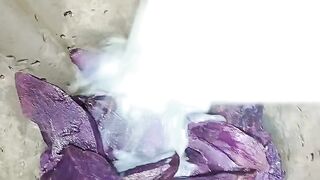 Blender dengan santan