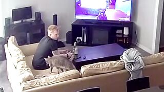 Cat Interrupts Dads Killstreak!  FunFM
