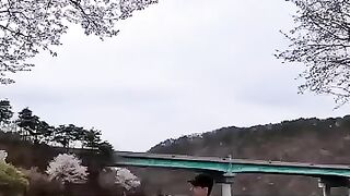 The Most Unexpected Way to Capture Cherry Blossoms!  FunFM