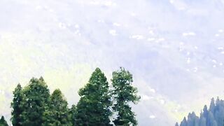 Beauty of Kashmir 11