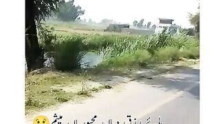 Punjabi Poetry 3