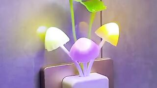 Lights 2